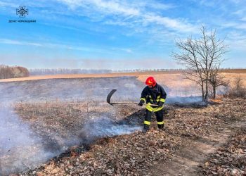2,7 гектара сухої рослинності охопив вогонь в Умані  — Новости Черкасс