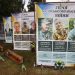 Банери з портретами Героїв пошкодив вітер у Козові, фото