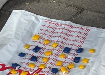 Черкаські поліцейські вилучили у юнака 30 пакетиків із наркотиками  — Новости Черкасс