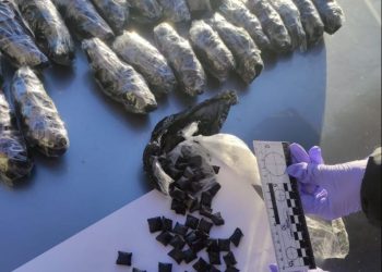 На Звенигорощині у водія вилучили пакет із наркотиками (ВІДЕО) – Новини Черкасс
