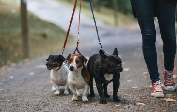 Фото умовне