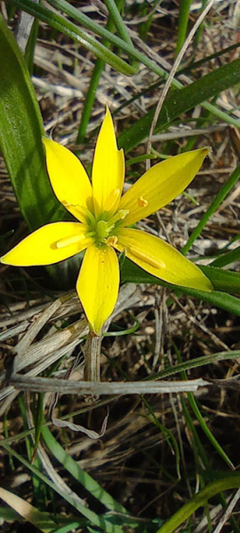 430858646_1793447381152380_8701555542979044717_n