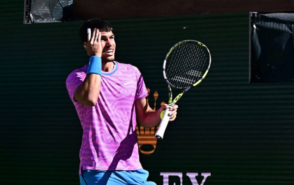 Нашествие пчел сорвало четвертьфинал на Индиан-Уэллс