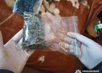 Поліцейську засудили до 7 років в’язниці через наркотик