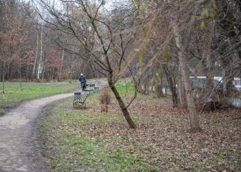 Понад 150 дерев планують висадити у одному із парків Львова