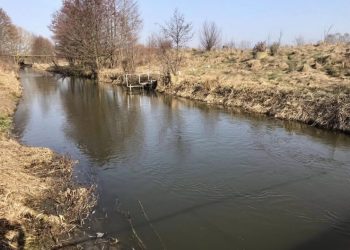 Судитимуть посадовця з Кременця за збитки довкіллю 660 тис.