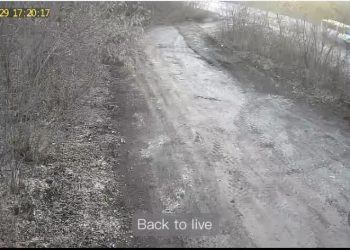 У Шумській громаді штрафують порушників благоустрою
