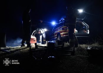 Внаслідок пожежі вигоріло близько 3 гектарів екопарку Осокорки