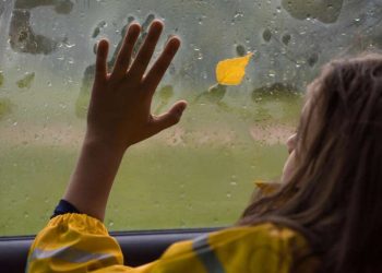 Волога в салоні авто: найбільш дієві способи боротьби з нею | АВТО НОВИНИ |