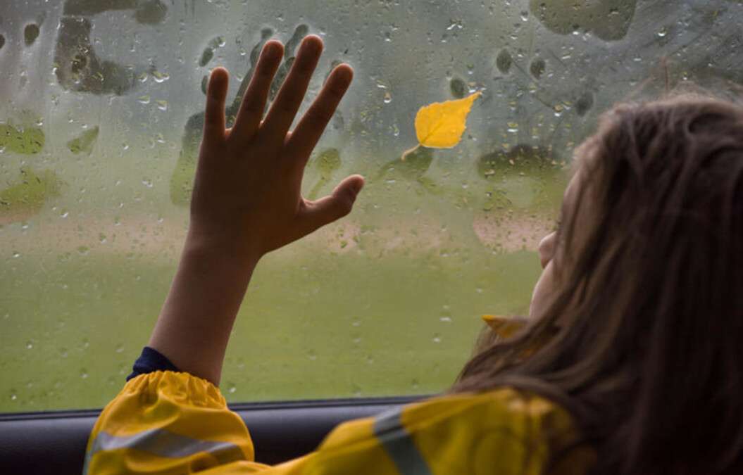 Волога в авто