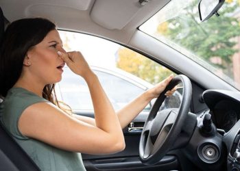 Запах бензину в салоні авто: причини та що робити | АВТО НОВИНИ |