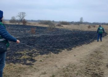 Збитки від пожежі в екопарку Осокорки оцінили в пів мільйона гривень