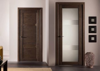 Критерії вибору дверей у Львові