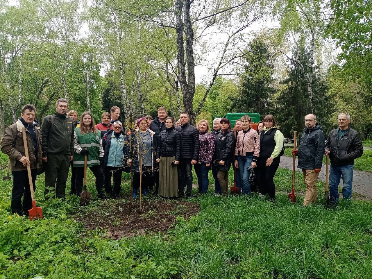 люди висаджують молоді дерева на Черкащині та Полтавщині