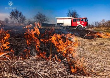 Необережне поводження з вогнем: у кожному районі Черкащини гасили пожежу сухої трави (ФОТО) – Новини Черкасс