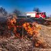 Необережне поводження з вогнем: у кожному районі Черкащини гасили пожежу сухої трави (ФОТО) – Новини Черкасс