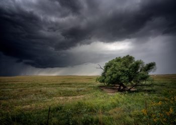Нестійку та вологу погоду очікують на Черкащині – Новини Черкасс