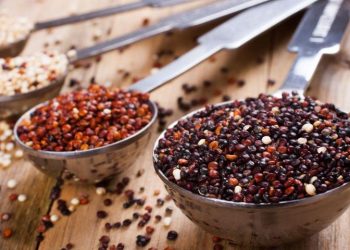 “Смак Життя” – ваш шлях до здорового харчування та кращого самопочуття