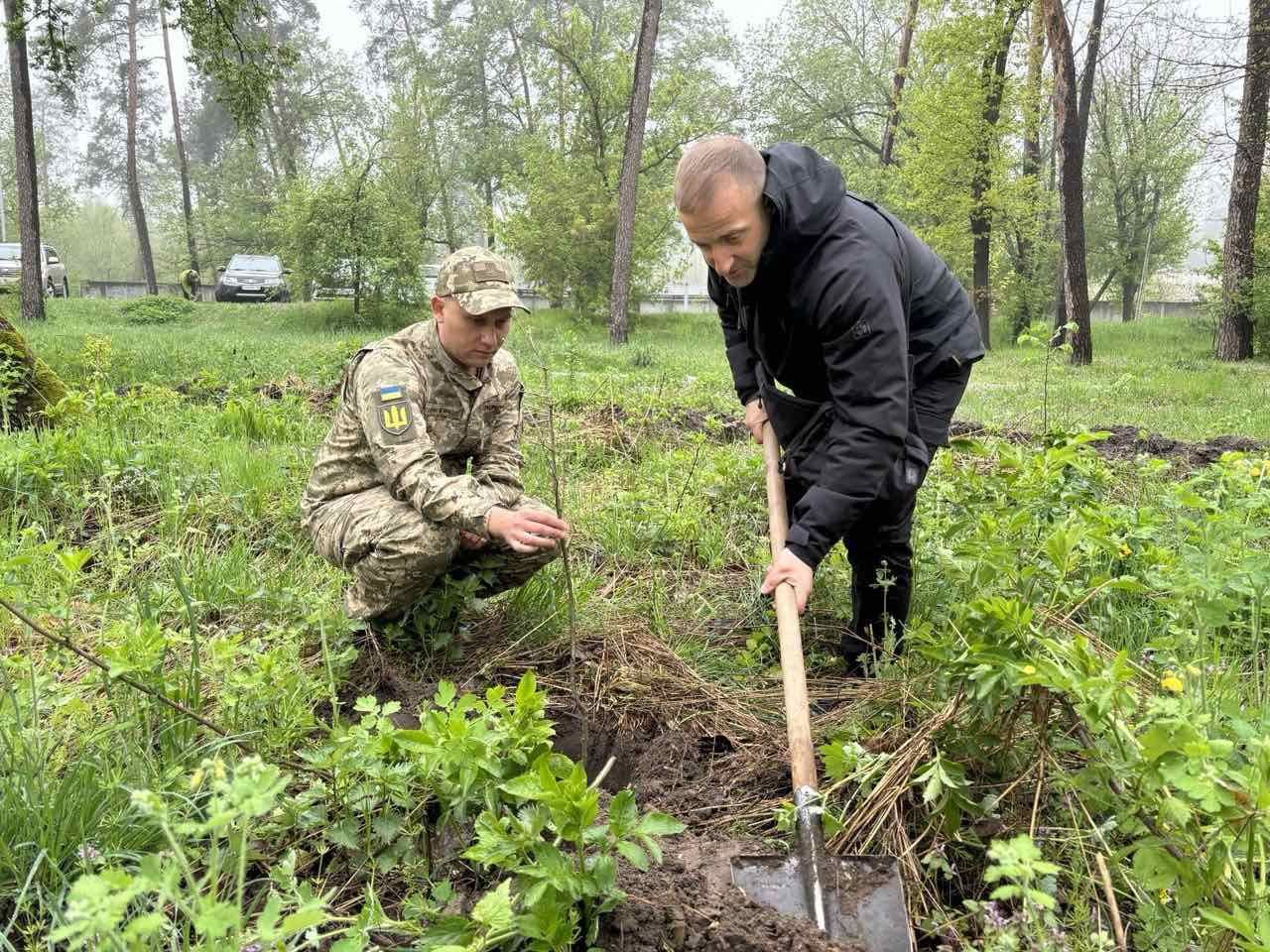 люди висаджують молоді дерева на Черкащині та Полтавщині