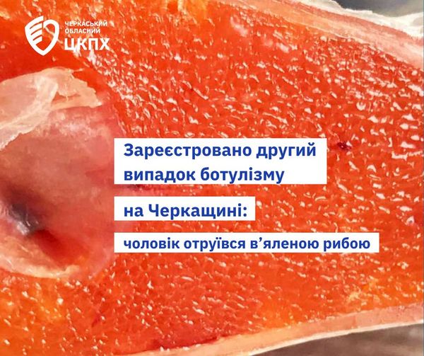 437684536_395743293269254_6743230604066069361_n