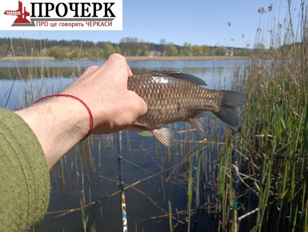 IMG-d359a7b456db2762d35ab4f64fa9a8d7-V