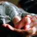 Львівщина – друга в країні за народжуваністю. Скільки дітей народилося торік