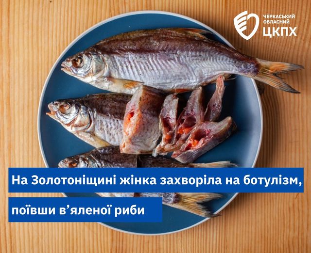 439770766_401601539350096_7248616588508435676_n