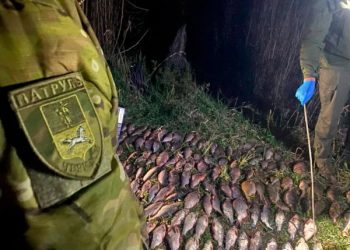 Незаконний вилов риби: рибінспектори знову спіймали порушників закону — Новости Черкасс