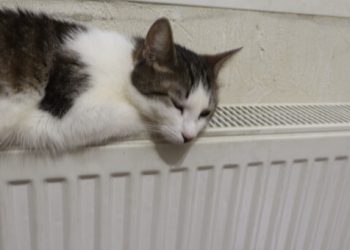 Опалювальний сезон в Одесі продовжиться до 7 квітня | Одеський Монітор