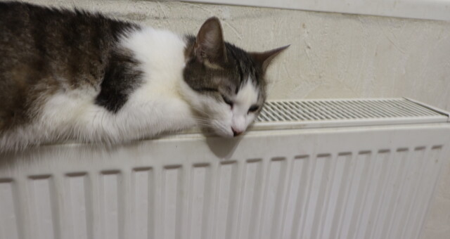 Опалювальний сезон в Одесі продовжиться до 7 квітня