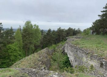 Побачити рідкісні види росли на Кременеччину їдуть звідусіль