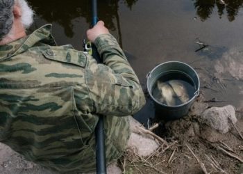 Позов на 100 мільйонів: фермер із Львівщини програв суд прокуратурі — Львівщіна