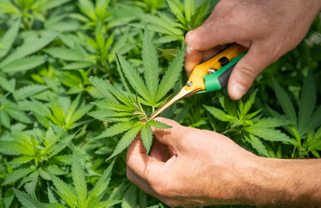 Умовне фото / Unsplash