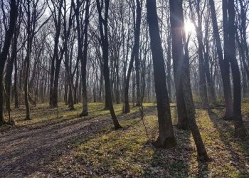 У Тернополі двоє дітей отруїлися алкоголем