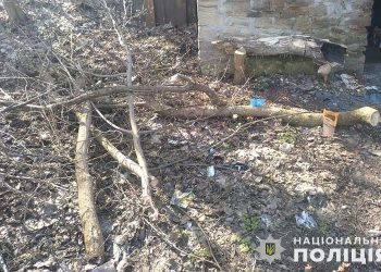 У Загребеллі місяць незаконно рубали дерева 3 тернополян
