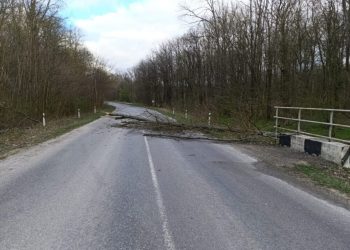 Вітер наробив лиха на Тернопільщині (фото)
