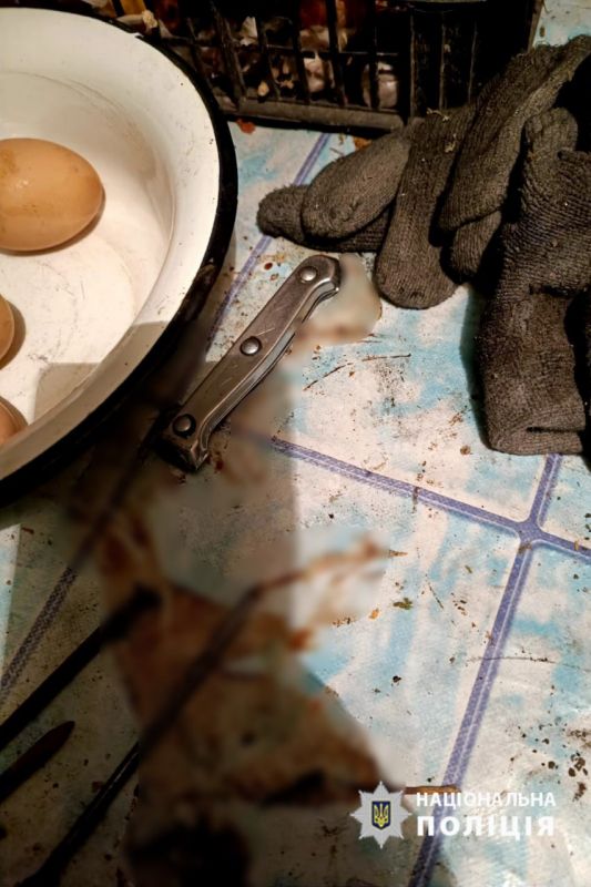 438172725_843495927821697_389134623925629350_n