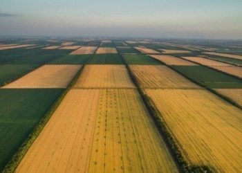 13 земельних ділянок на Львівщині виставили на торги