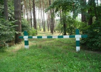 Мешканцям Львівщини заборонили відвідувати ліси одного з районів