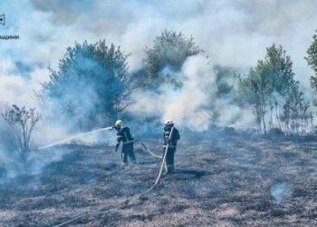 На Христинівщині горіла суха рослинність на площі 2 гектара — Новости Черкасс