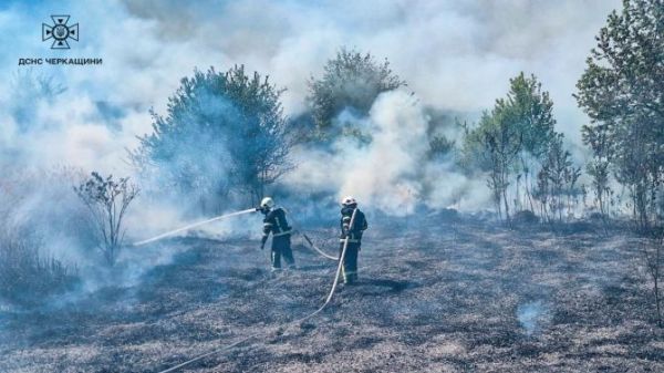 440566424_838206198344089_1924767963839073567_n