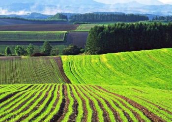 С мая аграрии Днепропетровщины смогут получить субсидию на землю – Дніпро