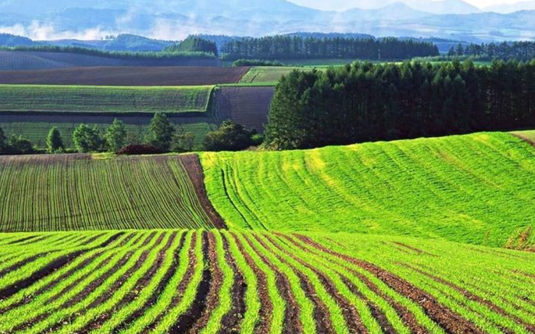 Новости Днепра про С мая аграрии Днепропетровщины смогут получить субсидию на землю