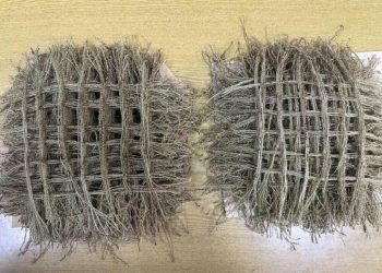 Тернополян закликають долучитись до створення кікімор для захисників | Терміново новини Тернополя