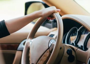 Украинцам напомнили, какие возрастные ограничения действуют для водителей – Дніпро