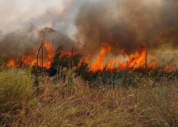 В Днепре и области объявили чрезвычайный уровень опасности на 4-6 мая – Дніпро