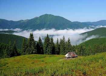 Лучший способ оздоровиться – отправиться на природу