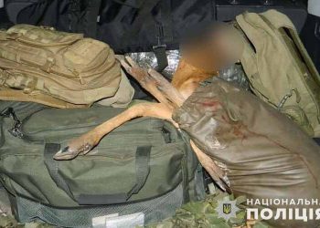 Двоє військових незаконно полювали на Тернопільщині
