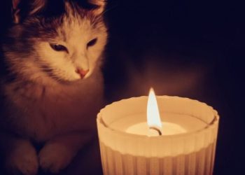 Графік вимкнення світла на Тернопільщині 21 червня