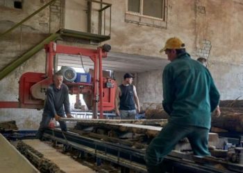 Як підприємства Черкащини залучають гранти на розвиток — Новости Черкасс